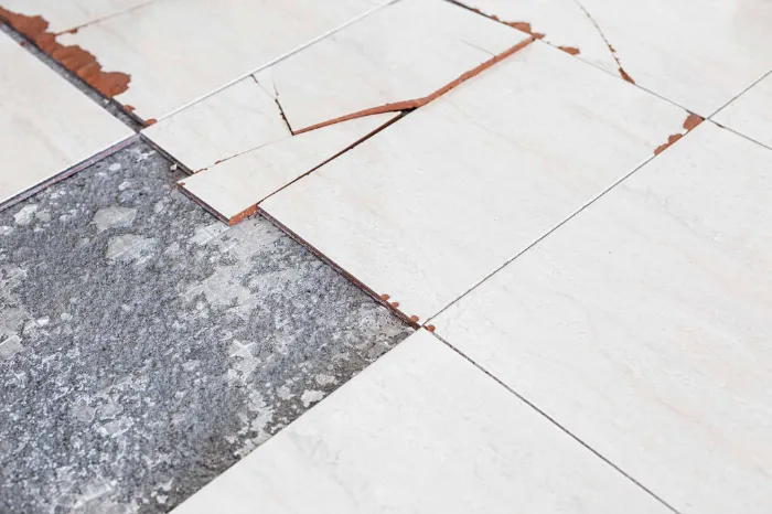 Tile Repair